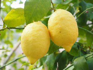 aliments éviter allaitement citron