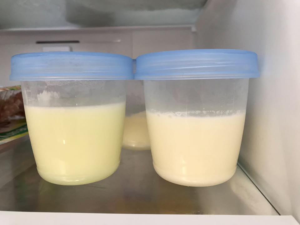 récipients de conservation du lait maternel marque Avent