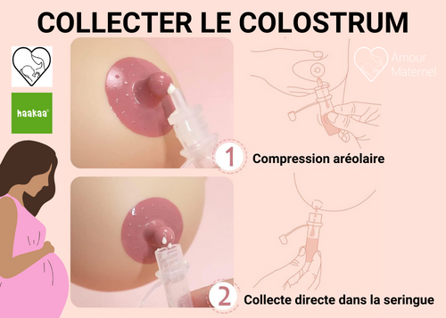collecte colostrum avant accouchement